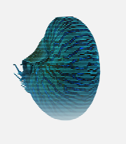 A blue-tinted picture of a nautilus, with horizontal interlace lines running across it